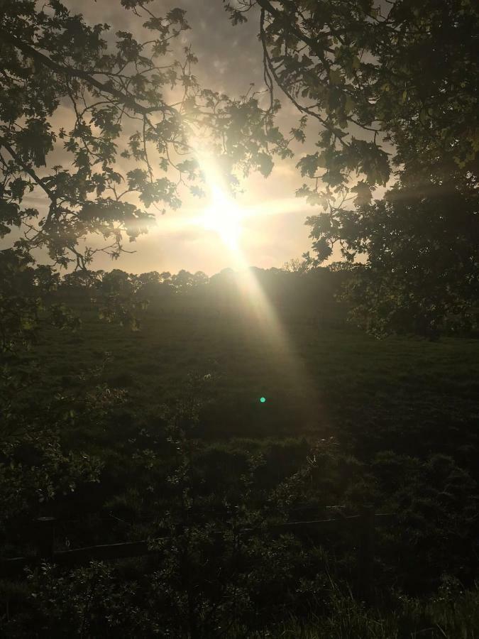 쿡스하펜 Deichblick 아파트 외부 사진